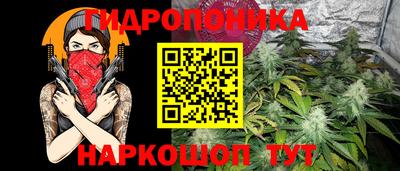 гашик Дубна