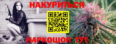 гашик Дубна