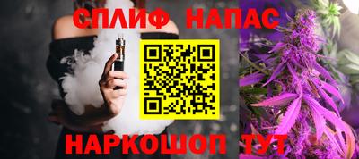 гашик Дубна