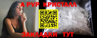 винт Донецк