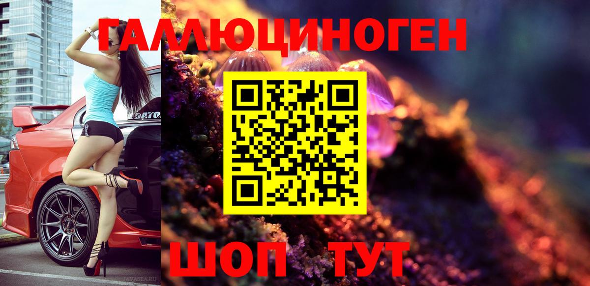 Галлюциногенные грибы Psilocybe  Псилоцибиновые грибы Magic Shrooms  Луга  Вход с VPN 