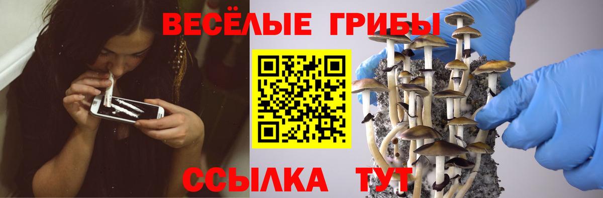 Псилоцибиновые грибы мухоморы Луга